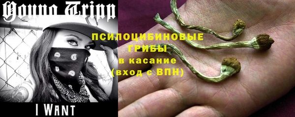 таблы Аркадак