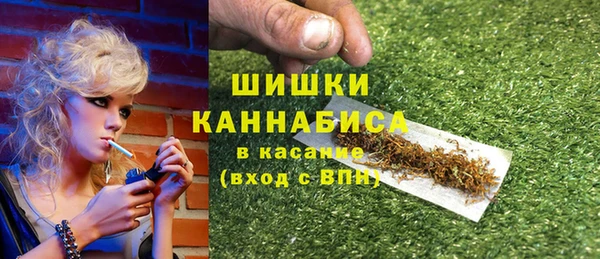 спайс Арсеньев